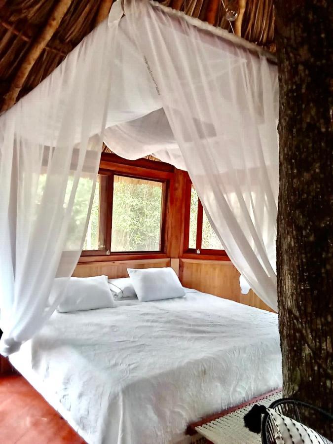 Nuscaa Boutique Tree House & Spa Hotel ปัวร์โตโมเรลอส ภายนอก รูปภาพ