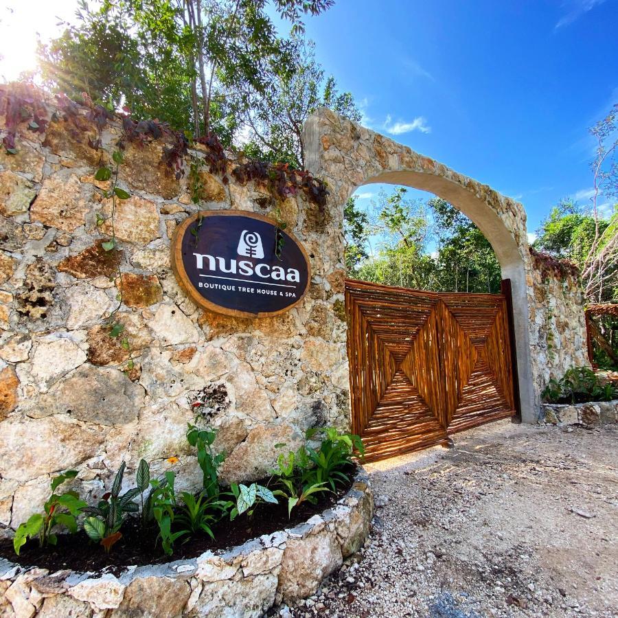 Nuscaa Boutique Tree House & Spa Hotel ปัวร์โตโมเรลอส ภายนอก รูปภาพ