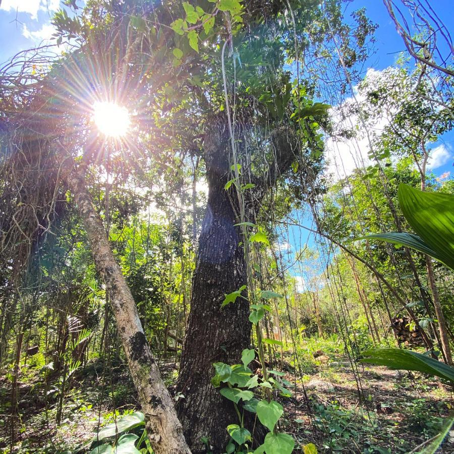 Nuscaa Boutique Tree House & Spa Hotel ปัวร์โตโมเรลอส ภายนอก รูปภาพ