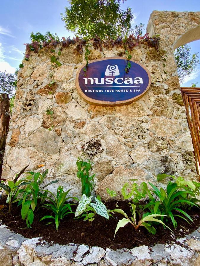 Nuscaa Boutique Tree House & Spa Hotel ปัวร์โตโมเรลอส ภายนอก รูปภาพ
