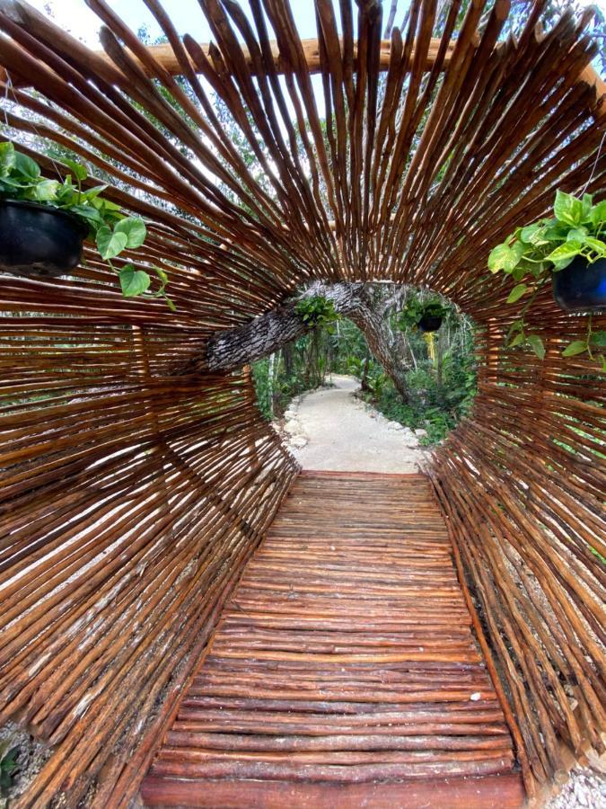 Nuscaa Boutique Tree House & Spa Hotel ปัวร์โตโมเรลอส ภายนอก รูปภาพ