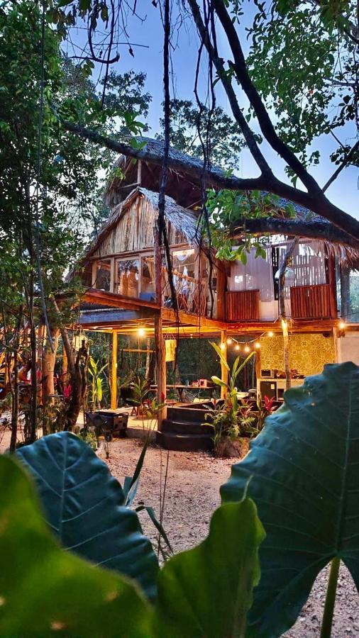 Nuscaa Boutique Tree House & Spa Hotel ปัวร์โตโมเรลอส ภายนอก รูปภาพ